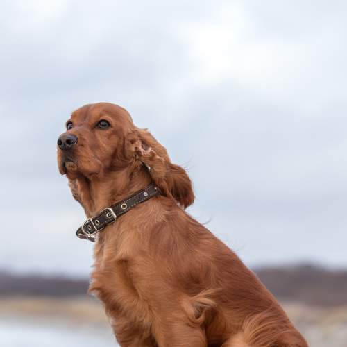 Photo #7602967