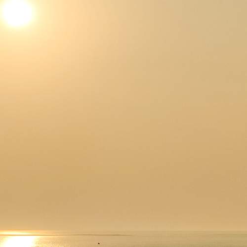 Photo #7603054
