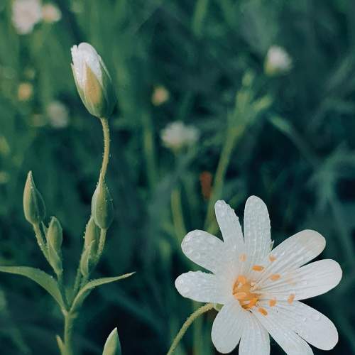 Photo #7603108