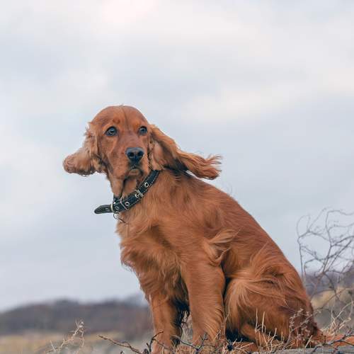Photo #7603227