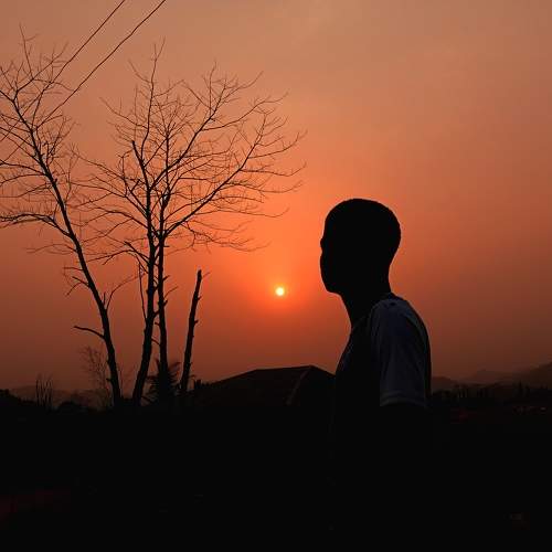 Photo #7603314