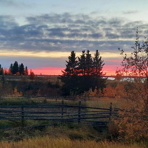 Photo #7603430