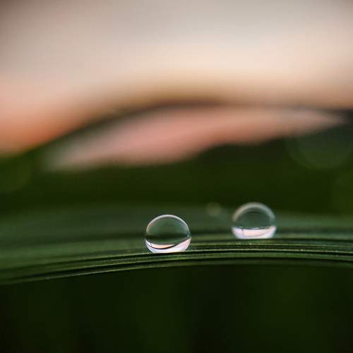 Photo #7603448