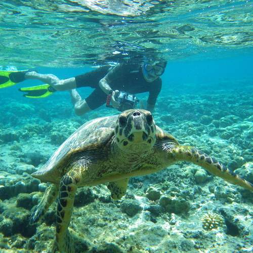 Photo #7603475