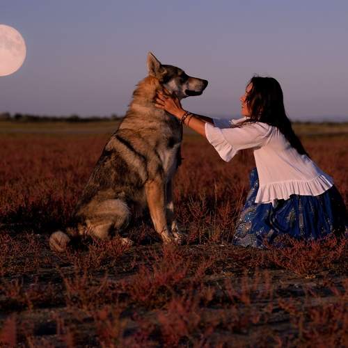 Photo #7603600