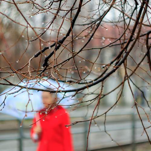 Photo #7603662