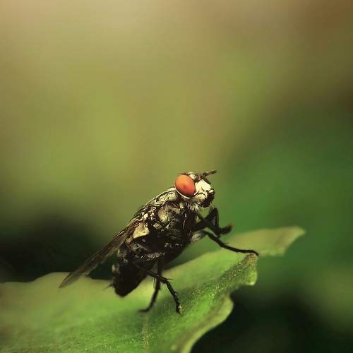Photo #7603665