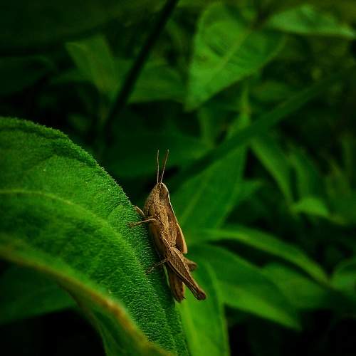 Photo #7603673