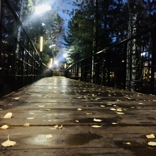 Photo #7603798