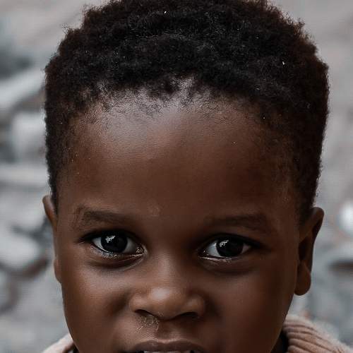 Photo #7603881
