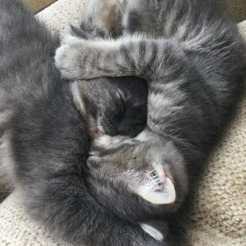 Photo #7604210