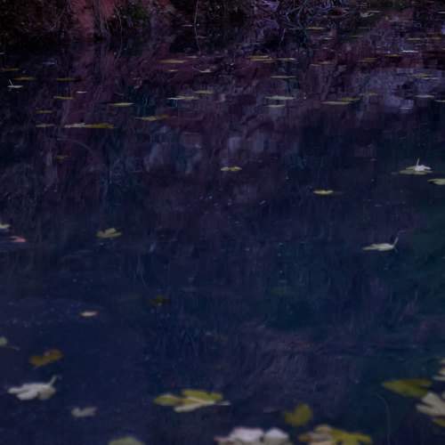Small river in the city