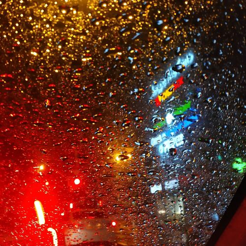 Photo #7604479