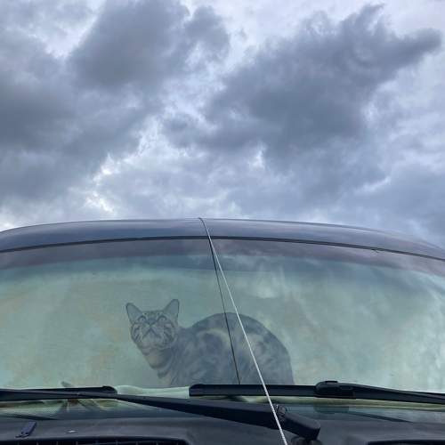 Photo #7604618
