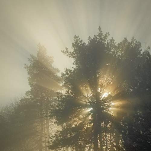 Photo #7604640