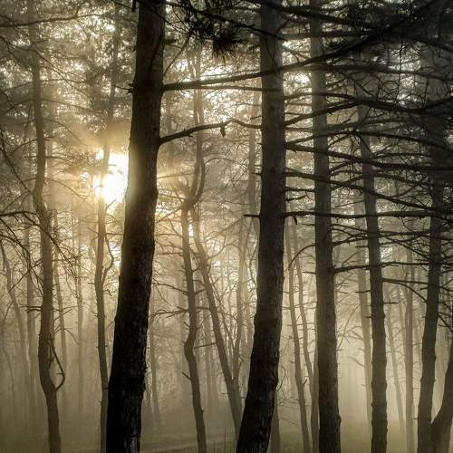 Photo #7604642