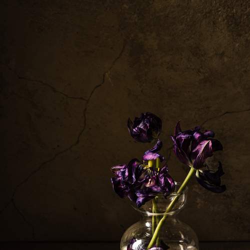 Photo #7604666