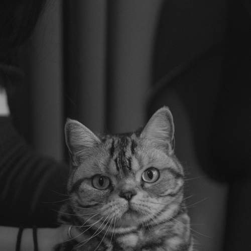 Луна