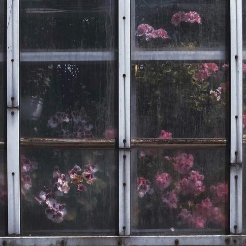 Photo #7604808