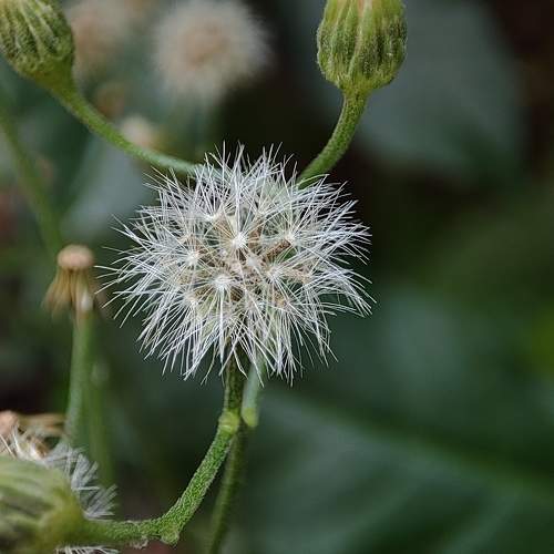 Photo #7604851