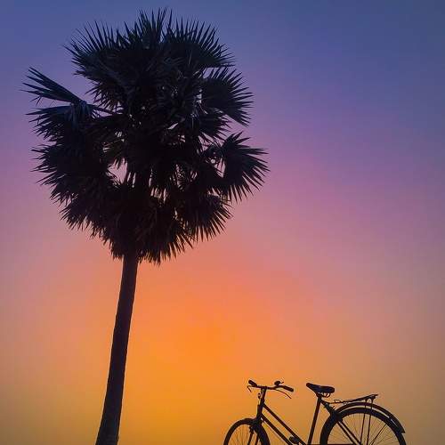 Beauty of evening
