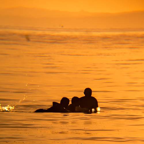Photo #7604892