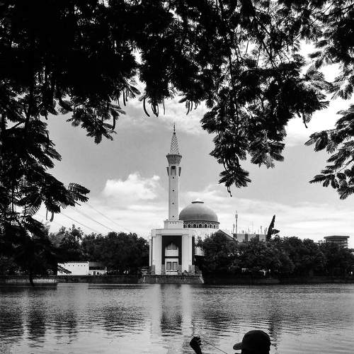 Photo #7605005