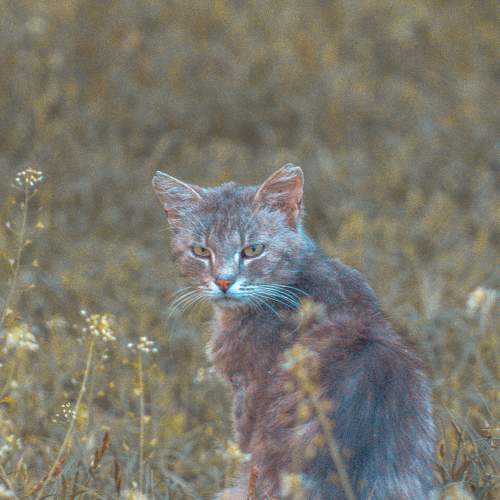 Photo #7605059