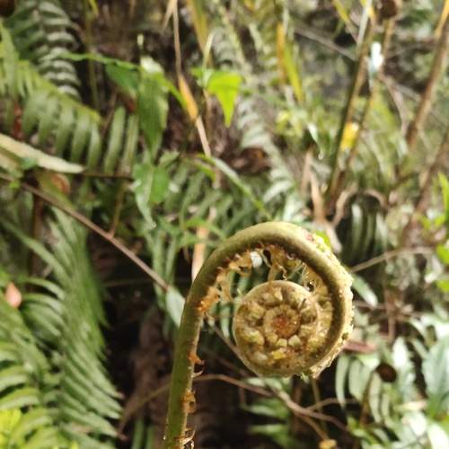 Photo #7605125