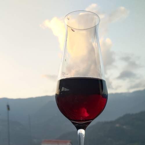 Photo #7605133