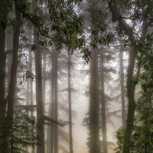 Photo #7605310
