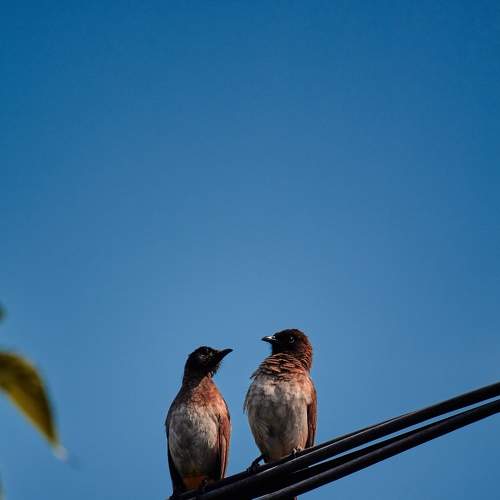 Photo #7605374
