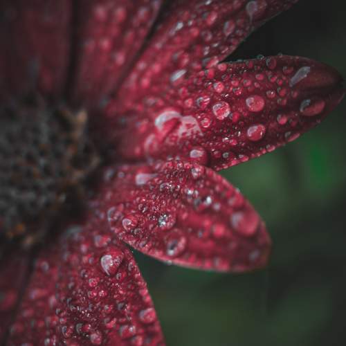 Photo #7605383