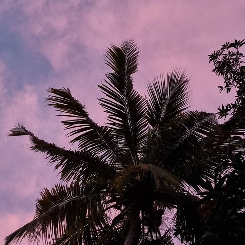 Photo #7605517