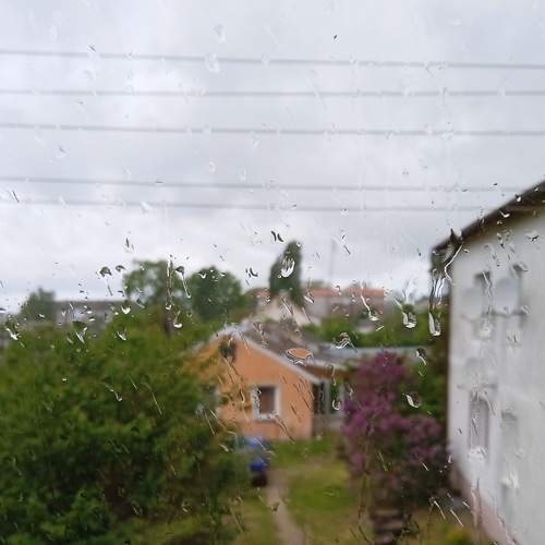 Photo #7605640