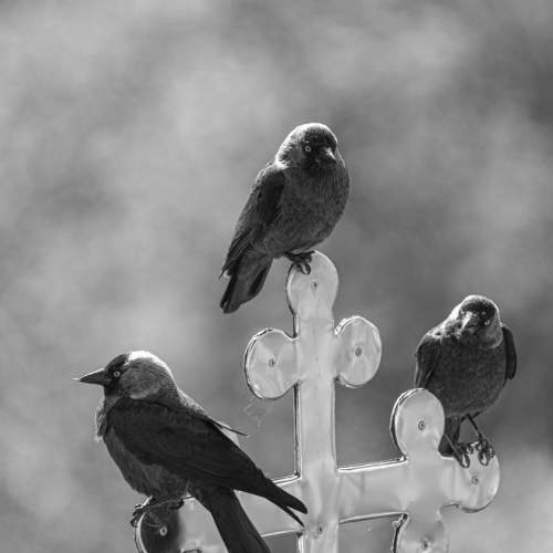 Photo #7605781