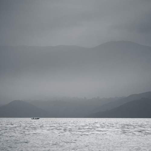 Photo #7605818