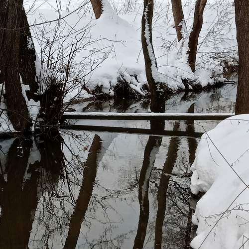 Photo #7605906
