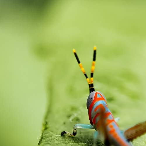 Photo #7605961