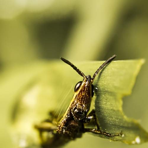Photo #7605983