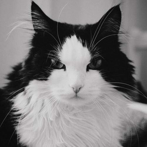 Фотография #7606024