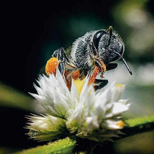 Photo #7606102