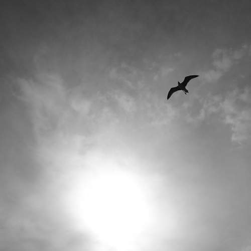 Voyage