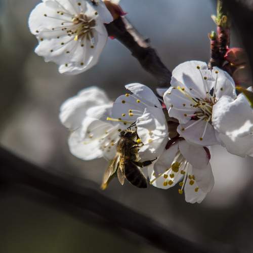 Photo #7606275