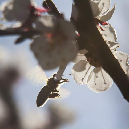 Photo #7606276