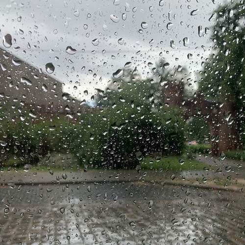 Photo #7606307