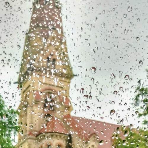 Photo #7606312
