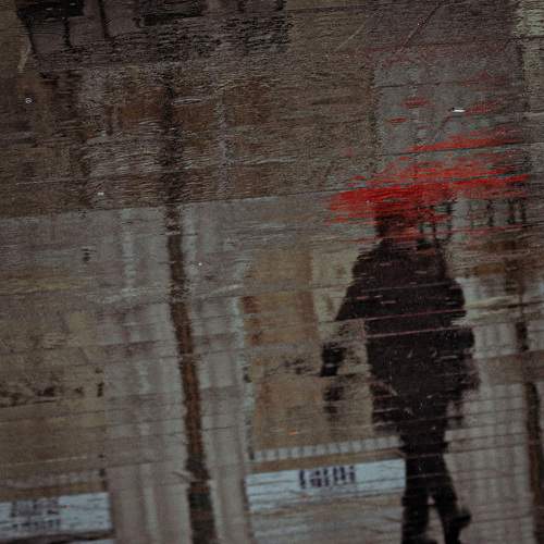 Photo #7606934