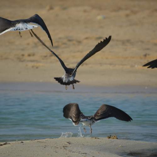 Photo #7606976