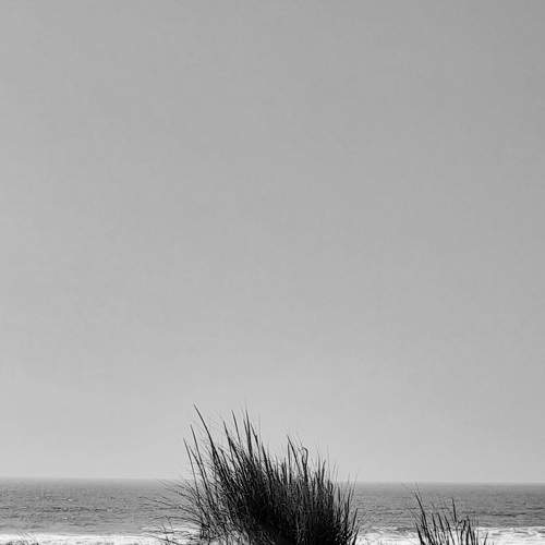 Photo #7607022